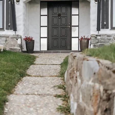 Large And Lovely In Sentrum With Sauna, Hot Tub And Car Villa