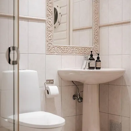 Large And Lovely In Sentrum With Sauna, Hot Tub And Car *